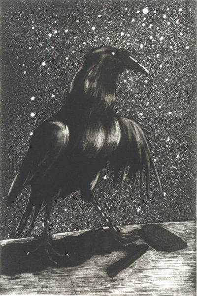 The Night Crow